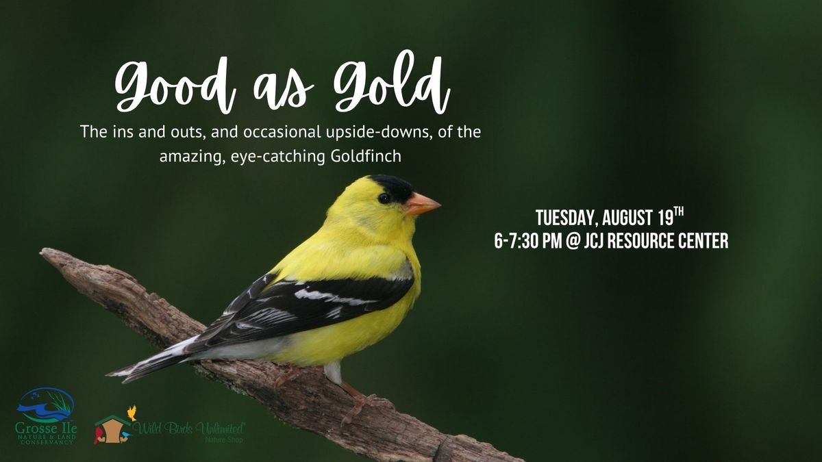 A moment from the 'Good as Gold' goldfinch program, showcasing Grosse Ile's dedication to nature education.
